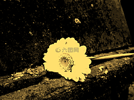 花,石,纪念石