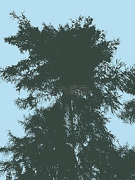 樹,天空,剪影