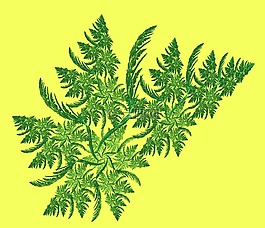 圣誕節(jié),支,綠色