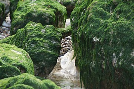 美國瓦茨,瓦登海,北海