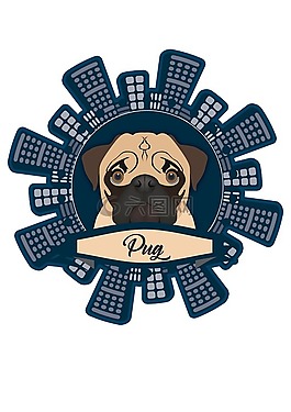 狗,有色,可愛