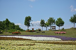 花園,自然