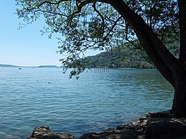 湖,銀行,田園