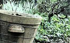 花園,花盆,綠色