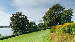 樹,海,視圖