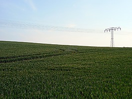 電源線,電力,strommast