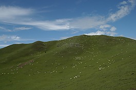藍天白云,山峰,羊群