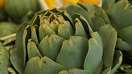 朝鲜蓟,蔬菜,绿色