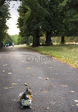 公園,倫敦,梵歌 》