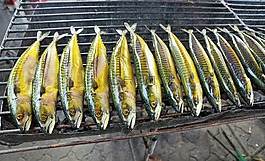 食品,魚,性質(zhì)