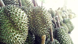 榴蓮,英國的水果,食品