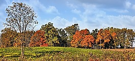 風景,農(nóng)田,農(nóng)村