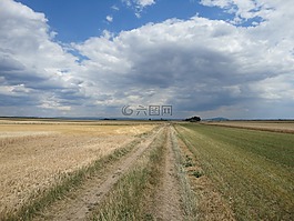 地平線,平,天空