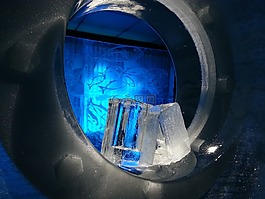 eisbar,冰,冰川