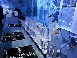 eisbar,冰,冰川