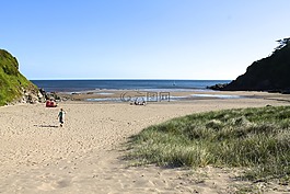 灣,海灘,人
