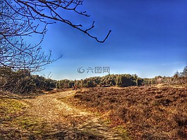 drenthe,mantingerveld,海德