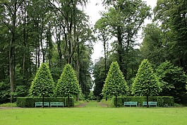 schlossgarten,綠色,維護