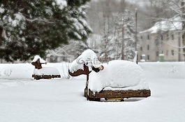 雪羊,羊,地面游戲