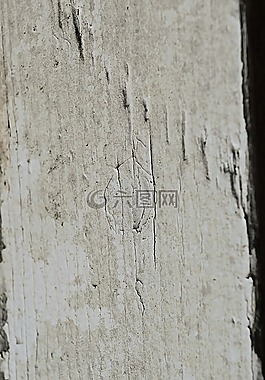 木,結(jié)構(gòu),背景