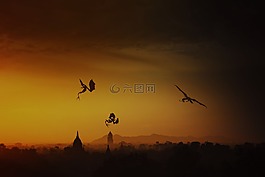 幻想,龍,天空