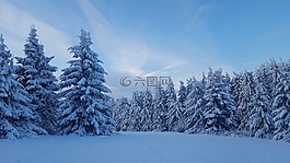 雪,冬天,弗羅斯特