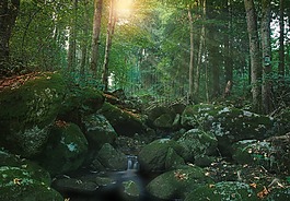 過(guò)獨(dú)身生活,太陽(yáng),性質(zhì)
