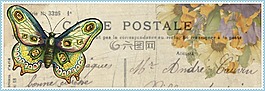 花,蝴蝶,發(fā)布