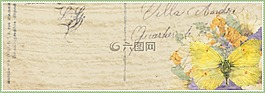 花,蝴蝶,發(fā)布