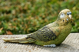 鳥,和諧,墳場