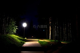 陰沉,月光,夜