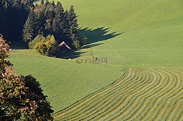 協(xié)會區(qū)域,干草,草地