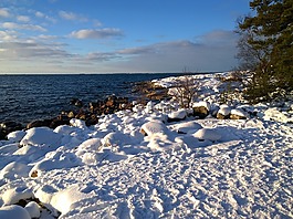 海,雪,海灘