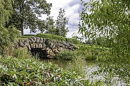 景觀,湖,橋
