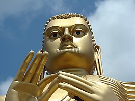 佛,禪宗,佛教