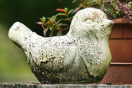 鳥(niǎo),風(fēng)化,雕塑
