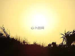太陽,日落,黃色