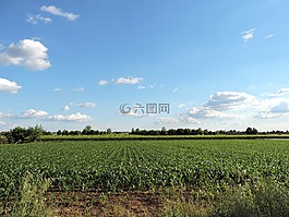 字段,云,天空