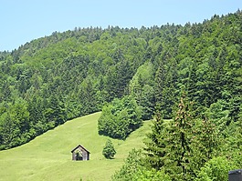 山,報(bào)告,阿爾姆