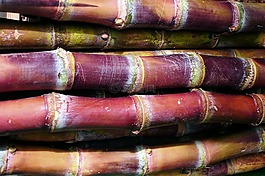 竹,曼谷,泰國(guó)