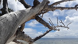 海灘,性質(zhì),海