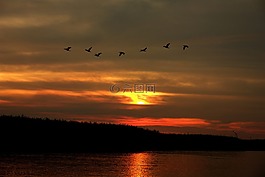 日落,aterdecer,河