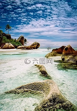 scyhelles,水,海洋