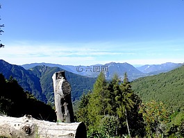 森林,山,湖泊