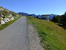 森林,山,湖泊