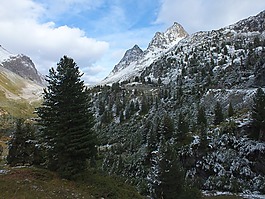 阿尔通,高山,冬天