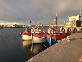 漁船,船,釣魚