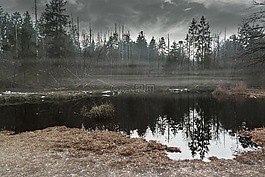的alpnach,gerzensee,神秘