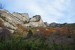 秋天,saou,森林