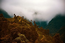 尼泊爾,日出,上午